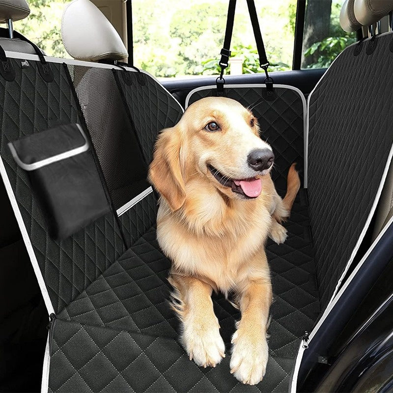 Golden retriever no banco de trás protegido pelo extensor com fundo rígido