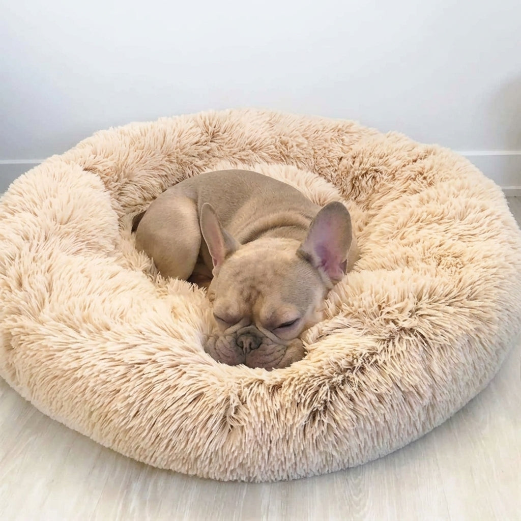 Buldogue frances dormindo na caminha donut bege