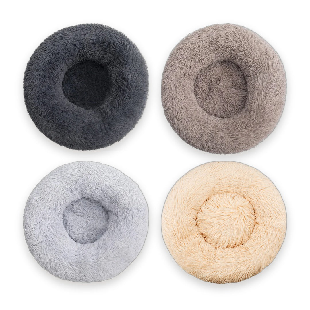 As 4 cores da caminha donut