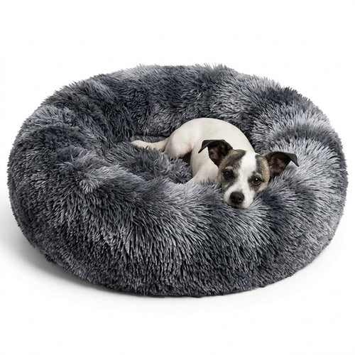 Caminha donut cinza escuro com cachorro deitado