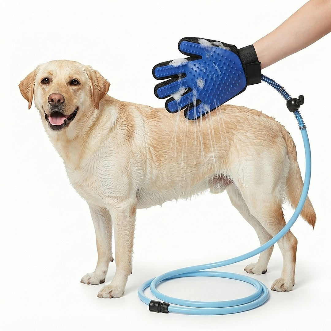 Luva de banho com mangueira lavando um labrador