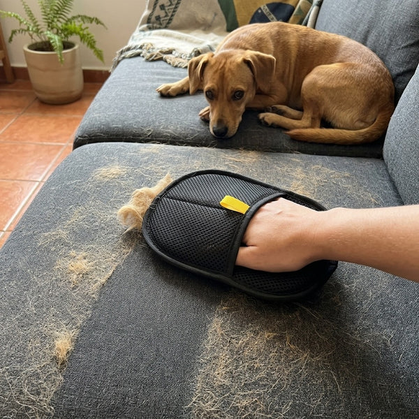 Luva Removedora de Pelos de Cachorro para Roupas e Sofá