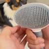 Escova tirando o pelo do corgi e soltando com um clique