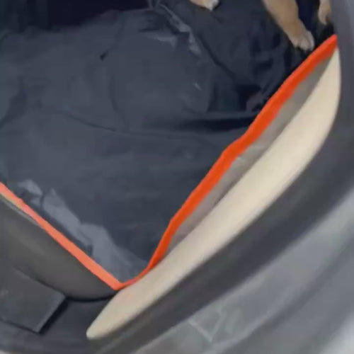 Vídeo real: cachorro entrando no carro e sentando na capa de banco