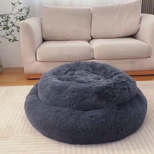 Video real da caminha donut com cachorros
